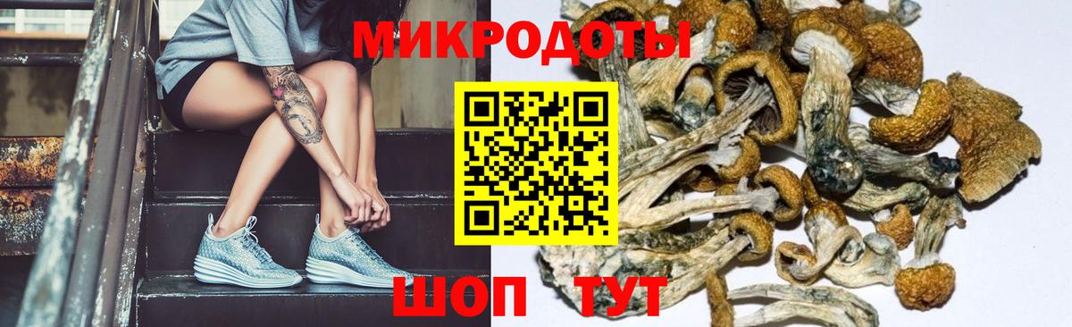 Псилоцибиновые грибы Cubensis Ноябрьск